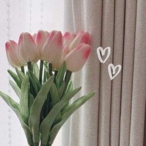 Meet your Posher, Xinhsingd23111